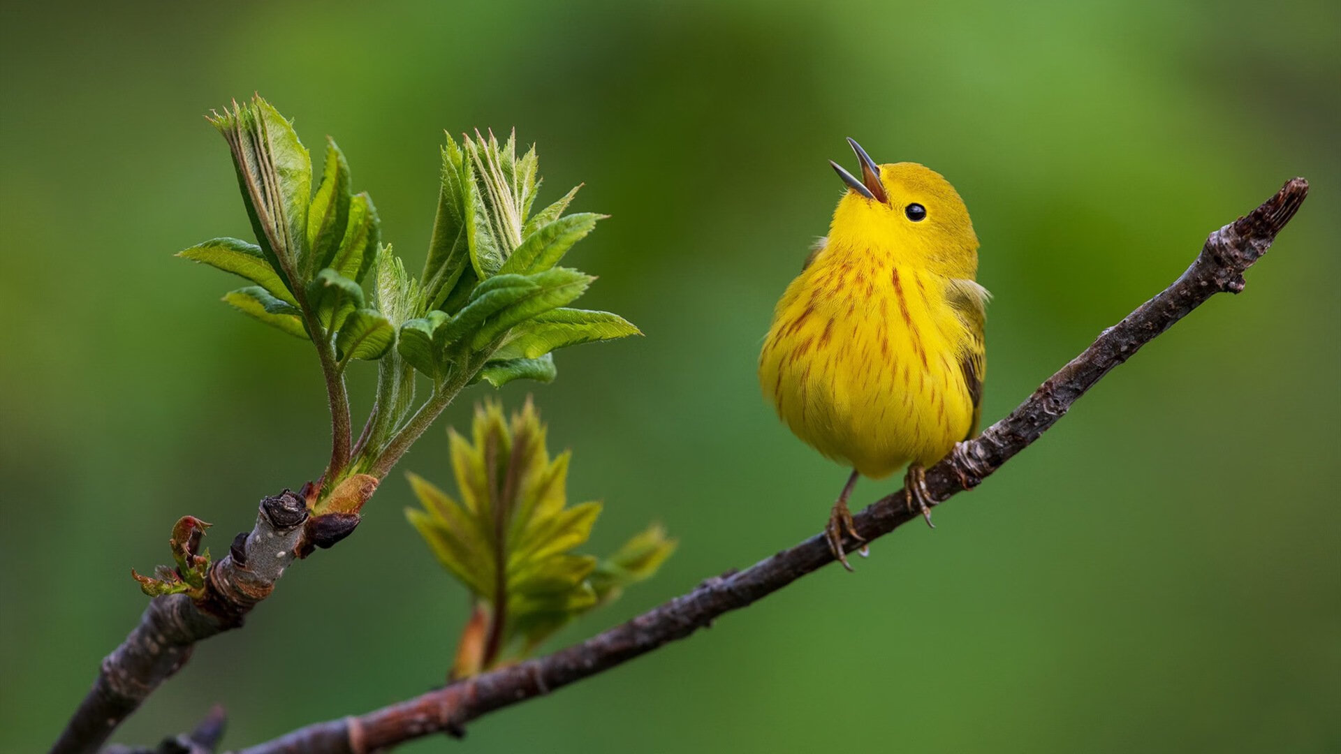 开云官网APP下载-CS2 战队阵容优化成效显著，cs2ge