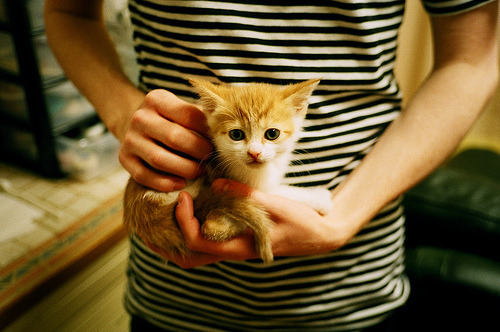 开云官方网站-_奇才战术逐步成熟，表现稳中有升_，奇才对战