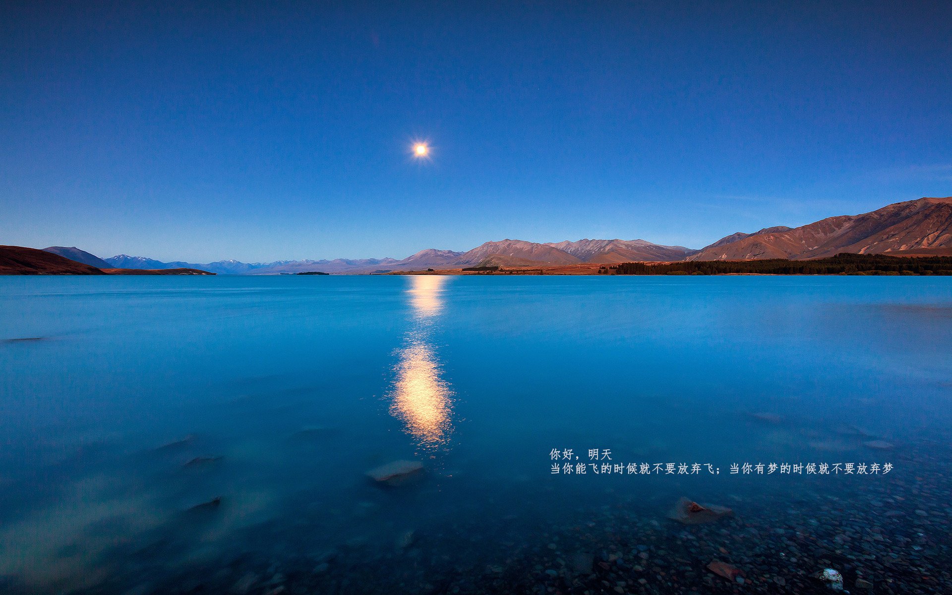 Kaiyun(中国)开云-“未来赛车：科技革命引领速度新纪元”，未来赛车图片