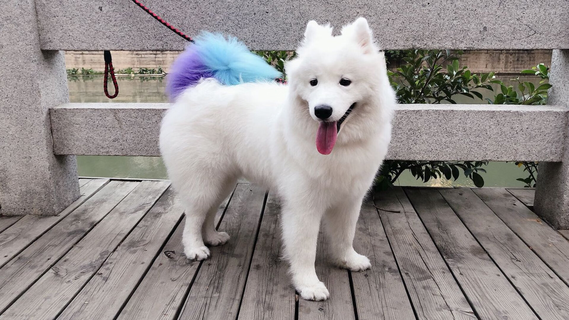 开云体育-中国足球联赛精彩瞬间集锦一览,中国足球队比赛视频