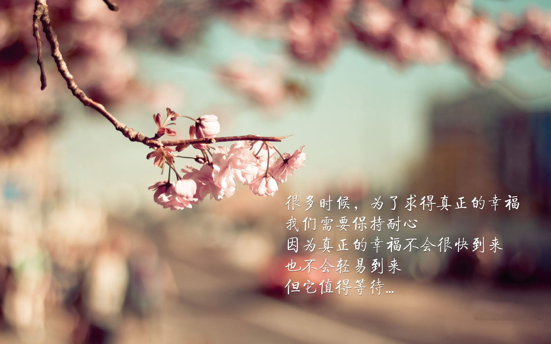 开云中国大陆-新能源足球场正式投入使用,绿色环保理念彰显,新型足球场