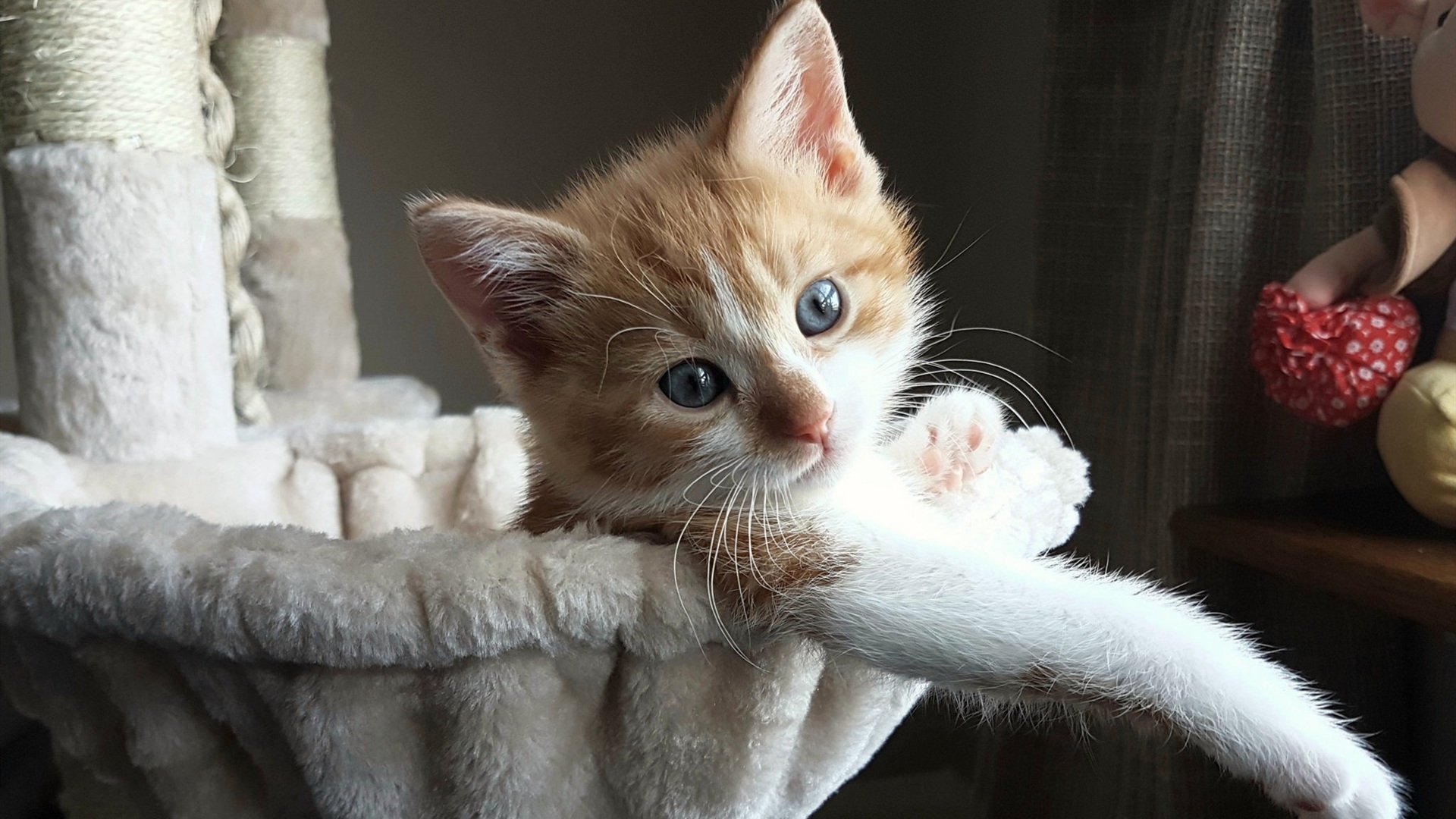 kaiyun网站-英超焦点战,比分3-2,绝杀球由前锋艾伦打入,控球率65%,射门次数21次