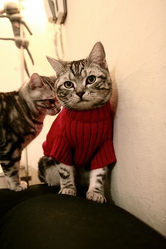 KAIYUN 中国大陆-赛场旁的趣味活动，比赛不只是比拼，比赛场景布置