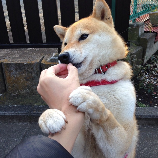 开云中国-赛季悬念：谁能逆袭皇马巴萨夺冠？，巴萨皇马谁赢了