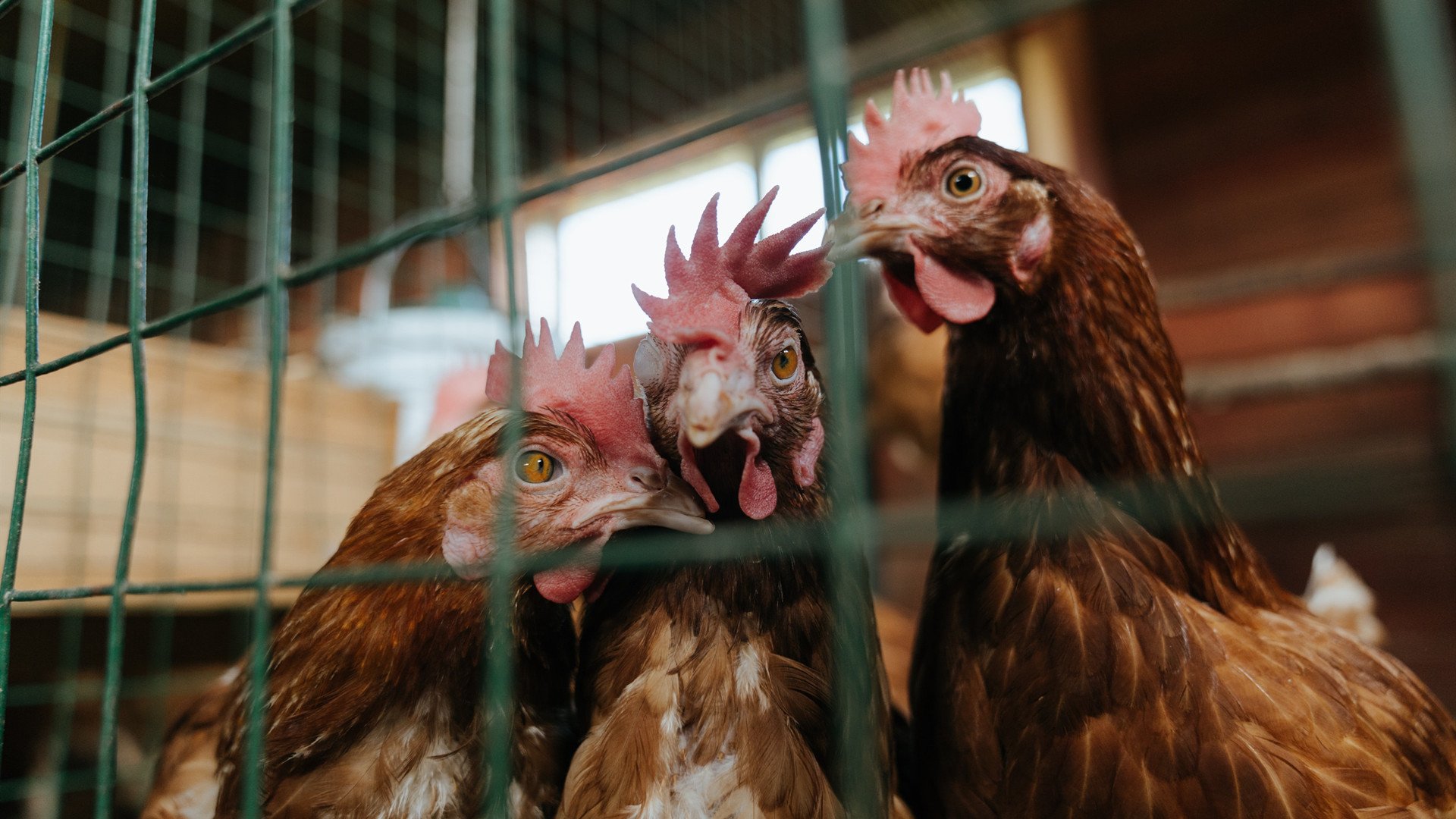 kaiyun官方网站-青少年沉迷防控:多角度、多措施共同发力,青少年沉迷网络游戏的解决办法