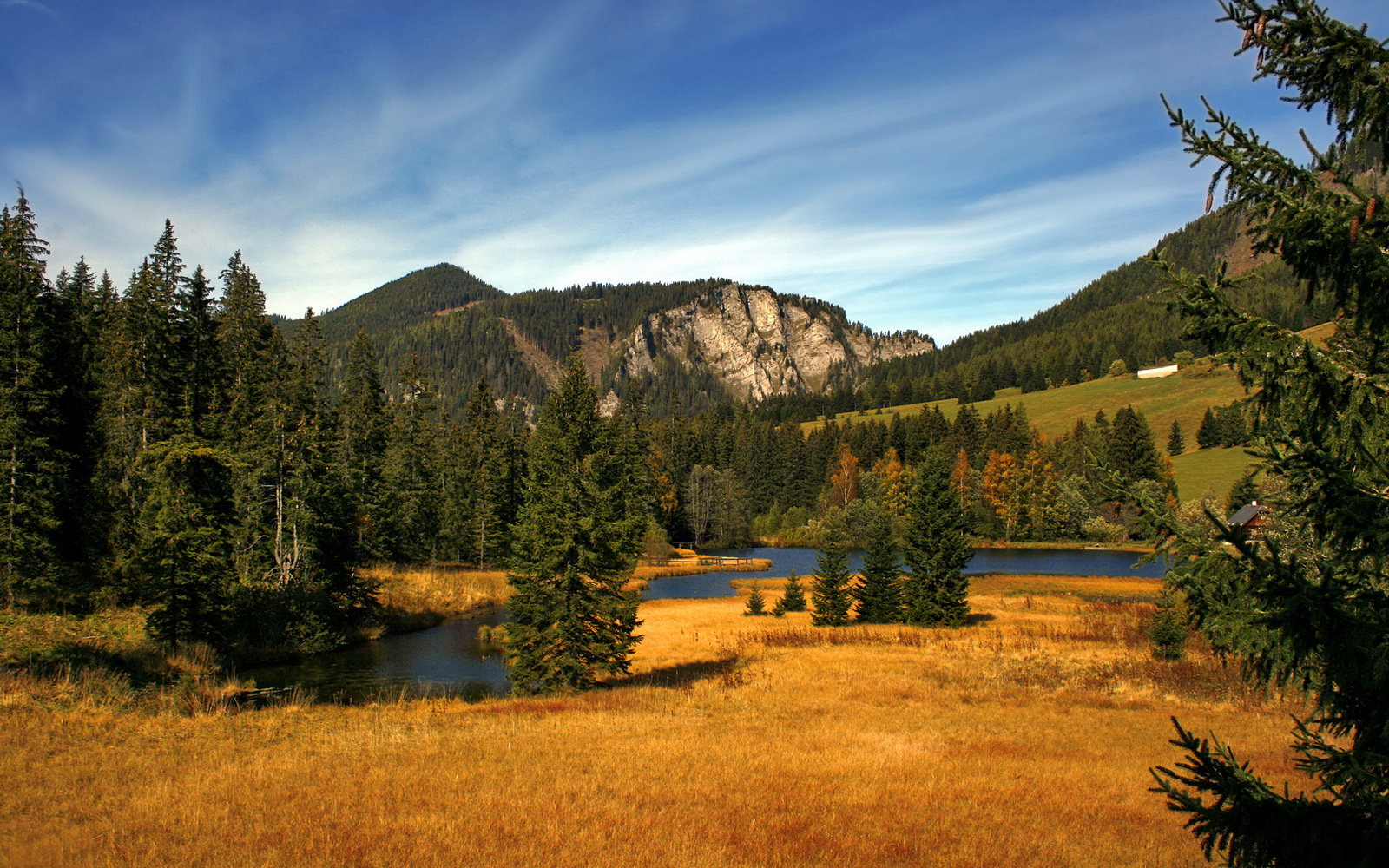 开云网站-中国击剑男花团队世界排名升至第二,击剑男花国家队