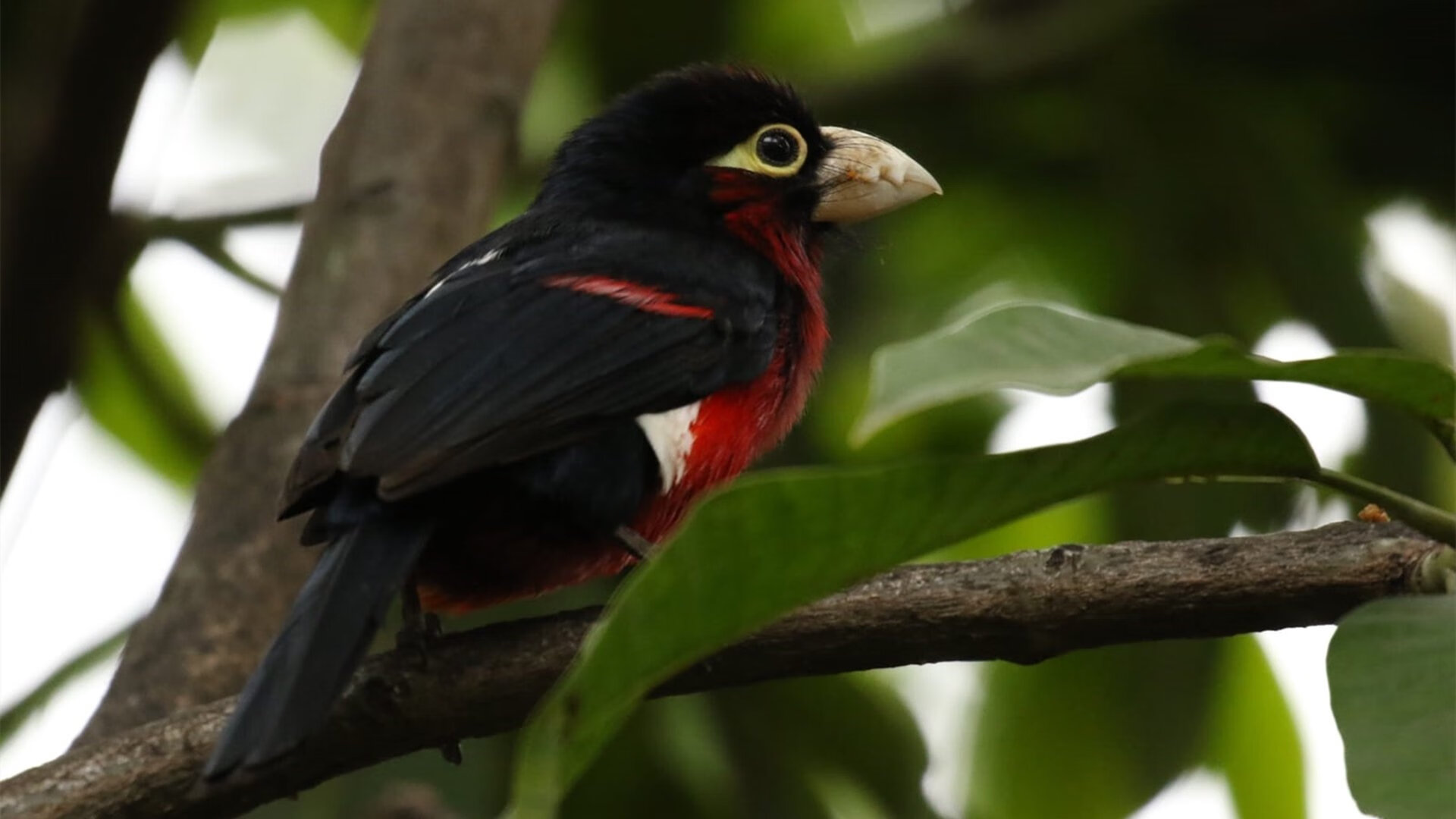 开云·Kaiyun网页版-巴塞罗那客场告负,欧战前景堪忧,巴塞罗那的比赛