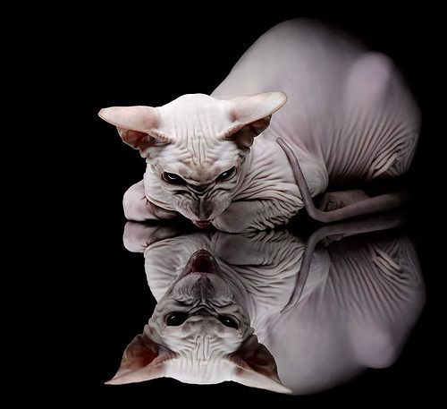 开云官网APP下载-巴西男篮在巴黎奥运会小组赛中展现强大实力，巴西男篮落选赛名单