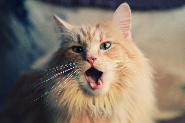 KAIYUNAPP-揭秘电竞训练基地内部环境,电竞训练馆