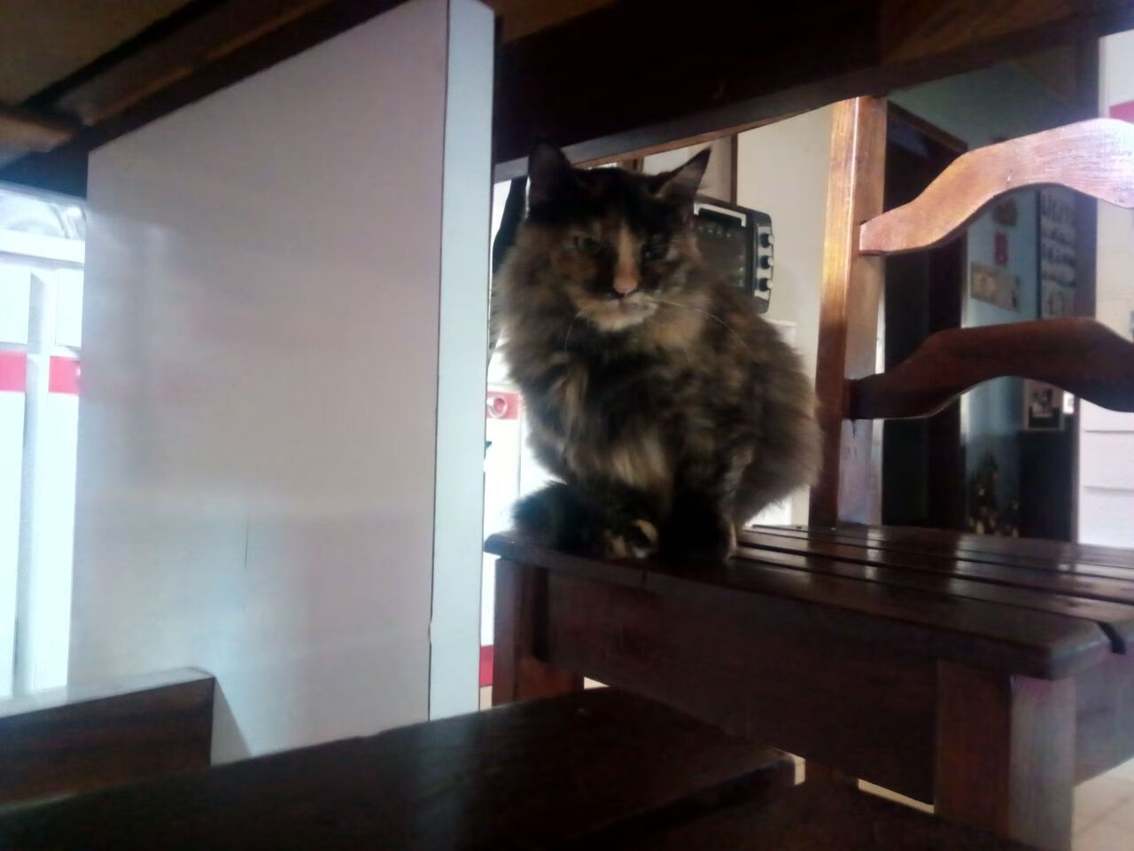 开云·体育官网-葡萄牙体育连续保持不败,葡萄牙体育联赛冠军