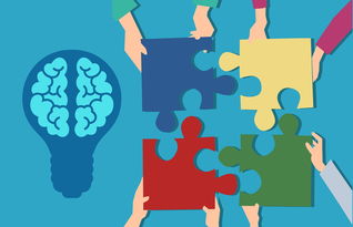 开云平台-中小学课程内容创新，中小学创新教育