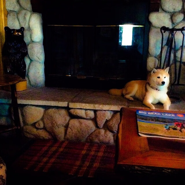 开云·Kaiyun网页版-CBA联盟优化赛程保障球员健康,cba联赛改革新扩军