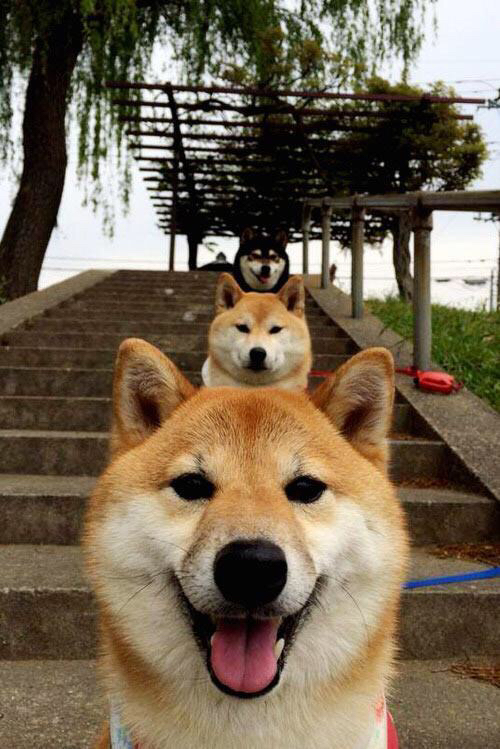 Kaiyun APP-体育新闻中心发布体育新媒体传播效果评估体系,什么是新媒体体育新闻评论