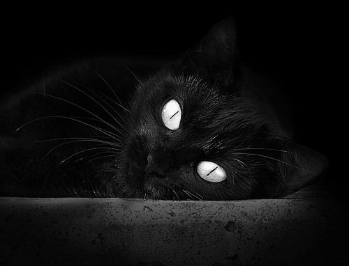 Kaiyun APP-体育新闻中心发布体育新媒体传播效果评估体系,什么是新媒体体育新闻评论