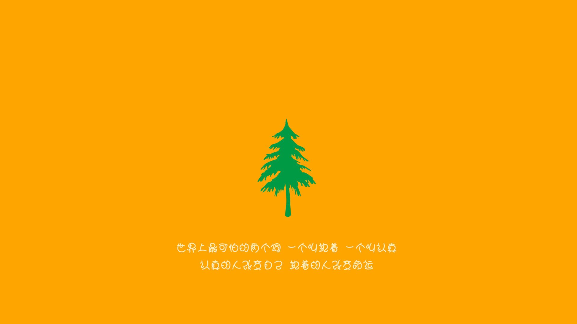 开云网站-波兰队赛制解读：如何通过赛制增强团队协作与默契，波兰队的比赛