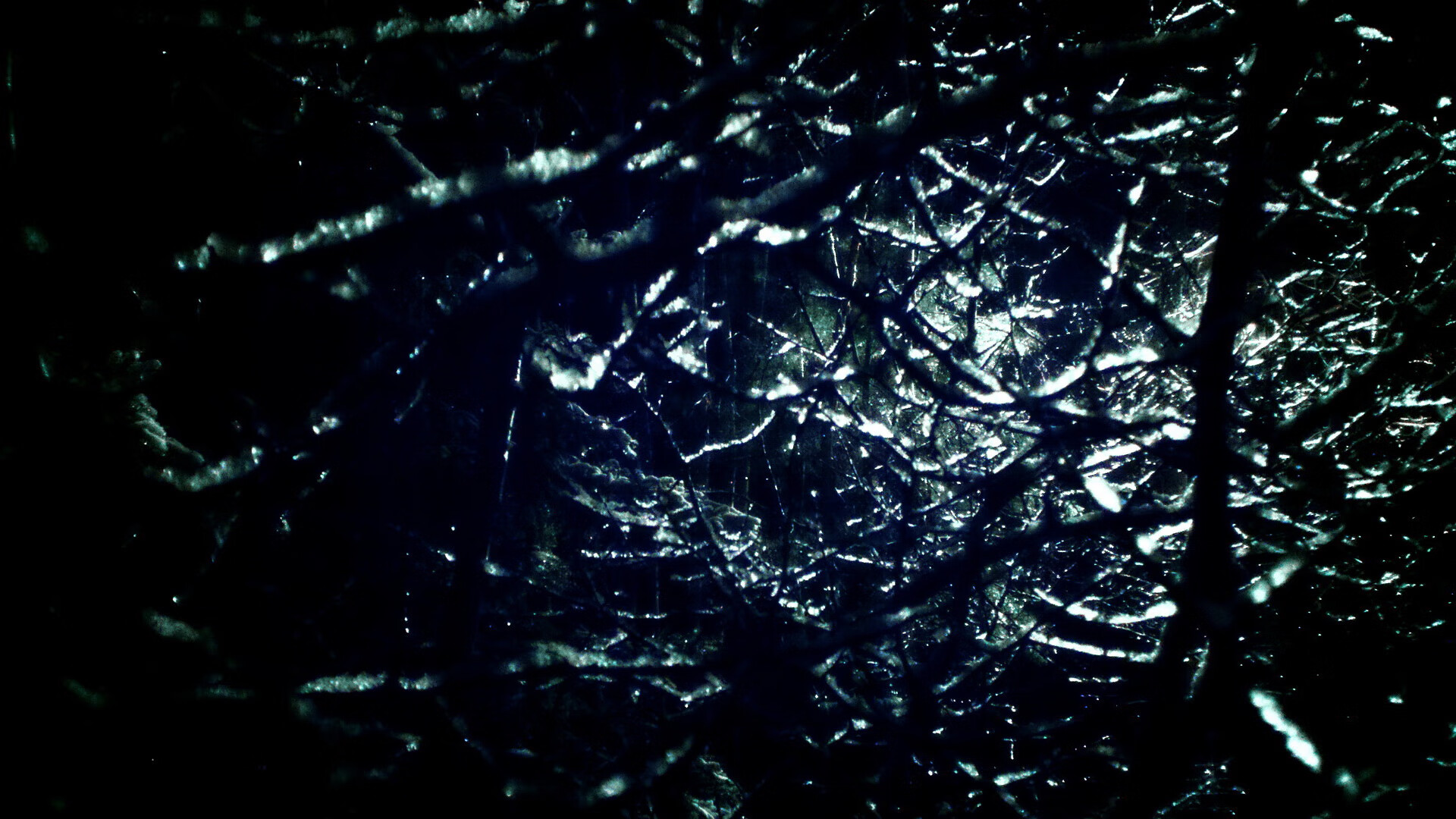 kaiyun.com-自由泳技术细节改进成效显著，自由泳要点经验总结