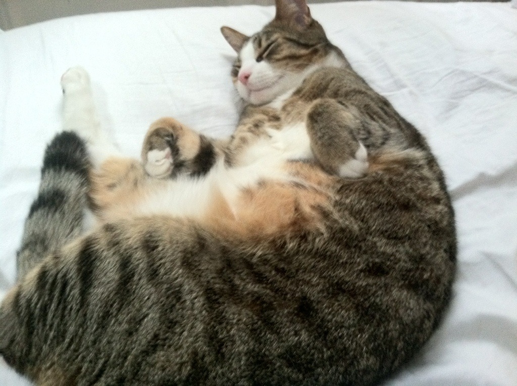 中国足球国家队推广细节控制型传控打法,传控足球过时了吗