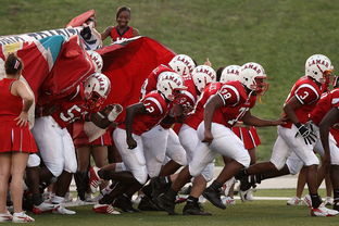 kaiyun官方网站-国际足球联盟推出新赛制,提升比赛公平性和观赏性,国际足联最新审定的足球竞赛规则