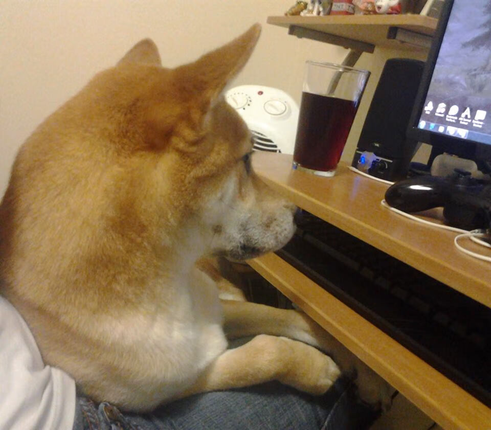 开云中国-教练临场调整及时有效，教练临场指挥些什么