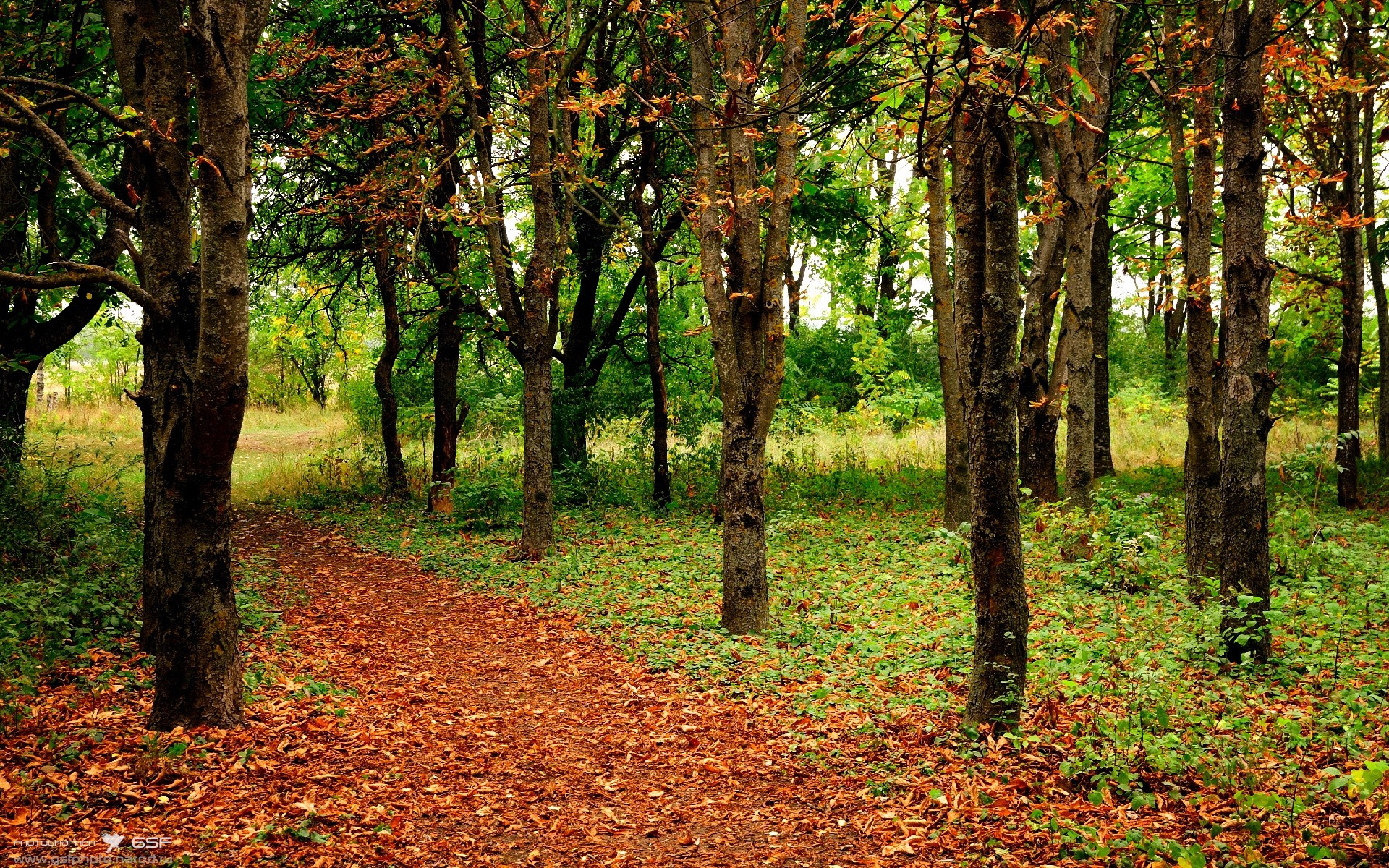 kaiyun.com-斯洛伐克男篮在欧洲大赛中奋勇逐梦,目标更高,斯洛伐克队欧洲杯大名单