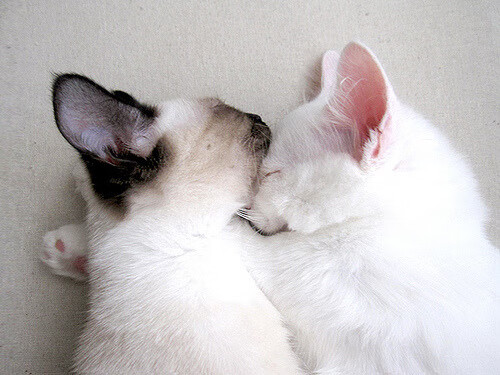 开云·Kaiyun网页版-梅西带领阿根廷稳步迈向世界杯，状态火热