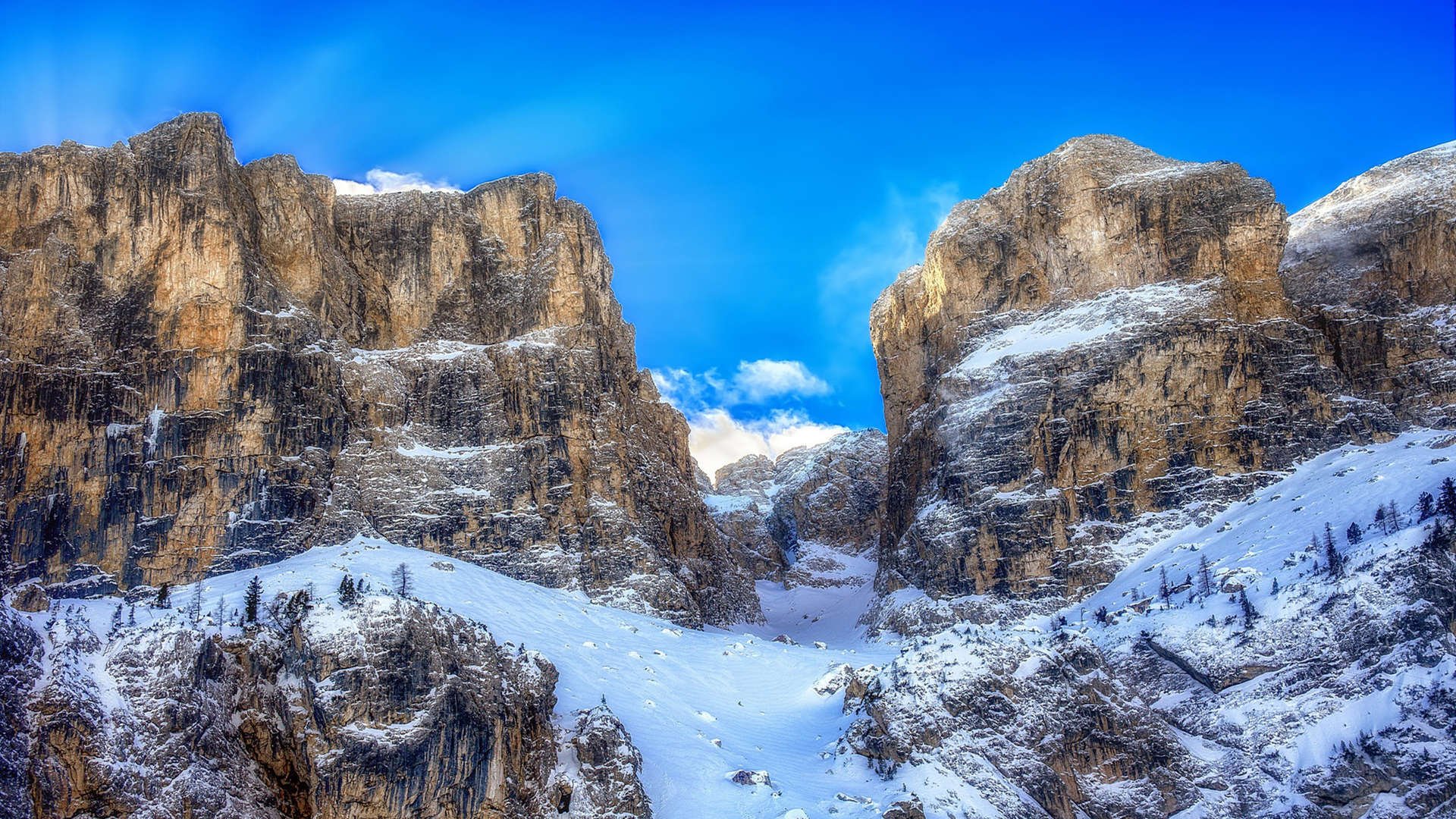 开云官网APP下载-混合泳团体波兰协作顺畅,混合泳视频欣赏