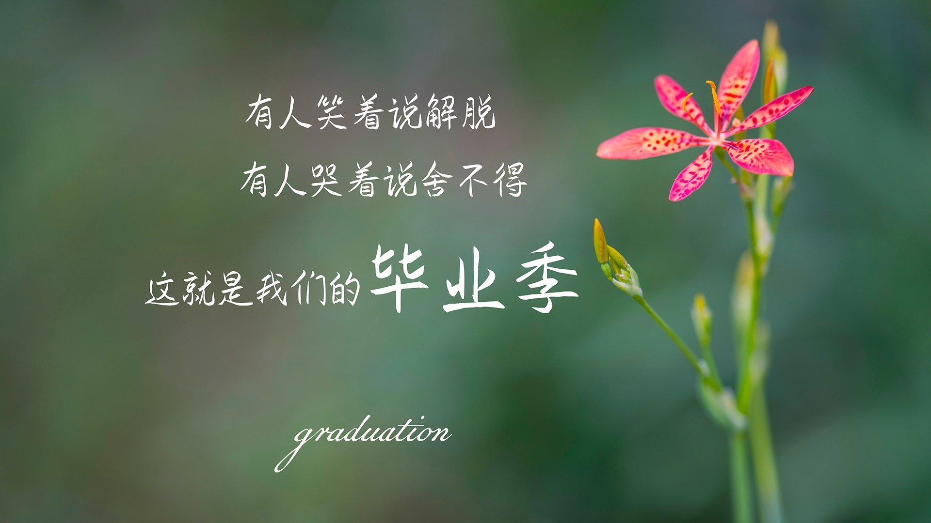 kaiyun体育综合-球员在国际舞台上完成个人里程碑庆祝仪式