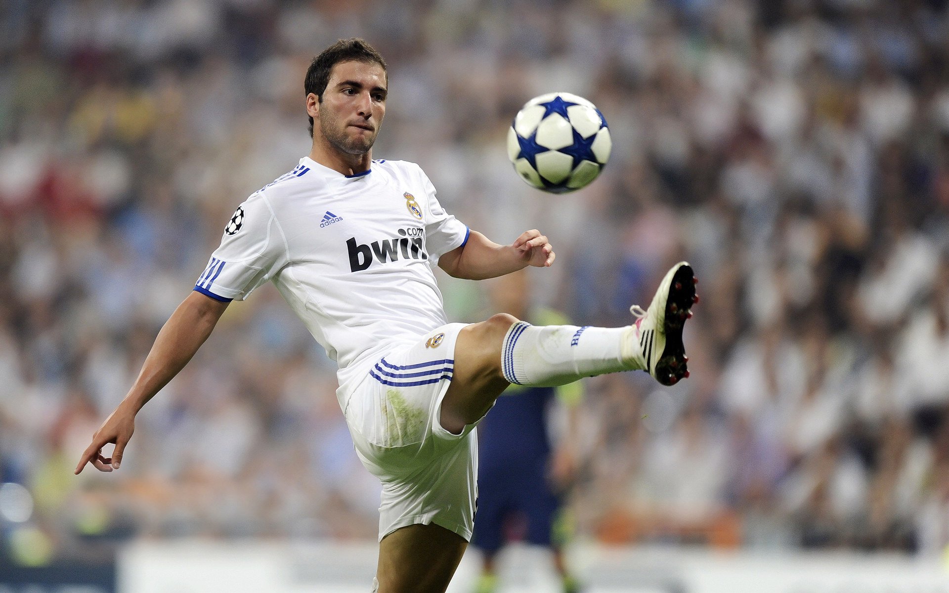 “未来之星：青少年足球运动员崭露头角”，未来之星足球队的教练和小队员正在研究